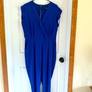 Elegant Blue Jumpsuit